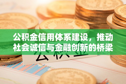 道里公积金信用体系建设，推动社会诚信与金融创新的桥梁