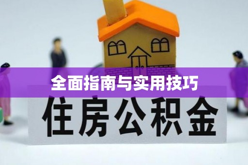 道里全面指南与实用技巧
