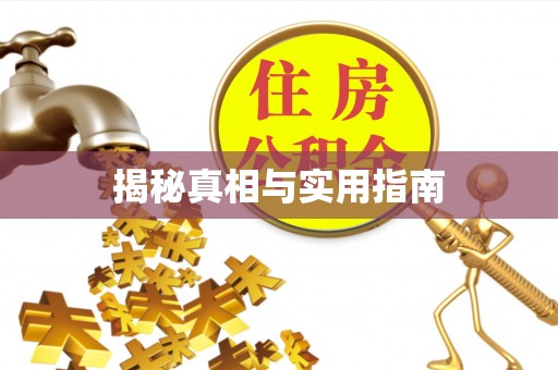 道里揭秘真相与实用指南