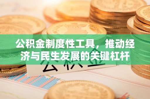 道里公积金制度性工具，推动经济与民生发展的关键杠杆