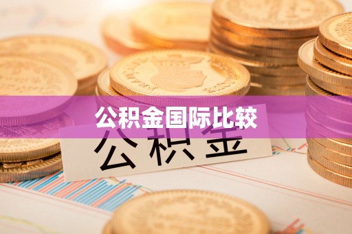 道里公积金国际比较
