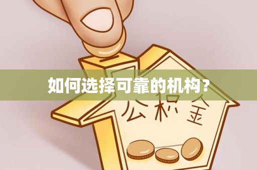 道里如何选择可靠的机构？