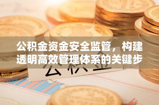 道里公积金资金安全监管，构建透明高效管理体系的关键步骤