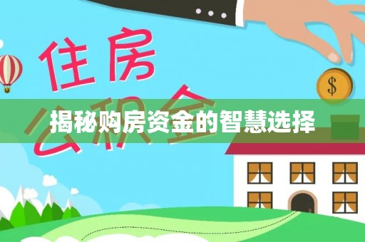 道里揭秘购房资金的智慧选择