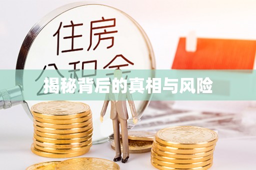 道里揭秘背后的真相与风险