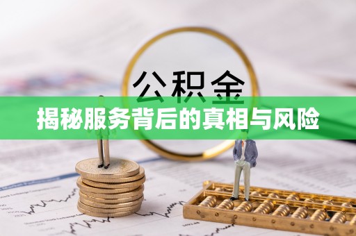 道里揭秘服务背后的真相与风险