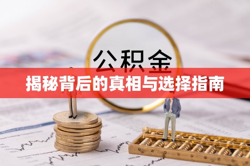 道里揭秘背后的真相与选择指南