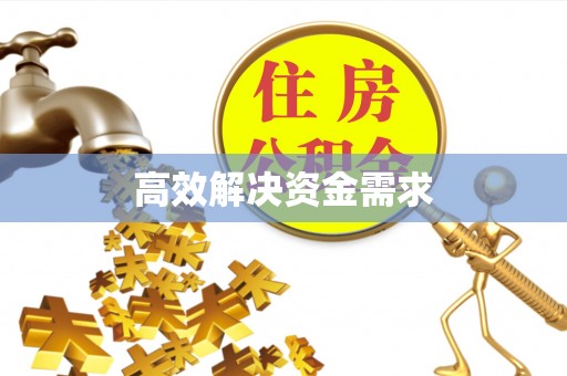 道里高效解决资金需求