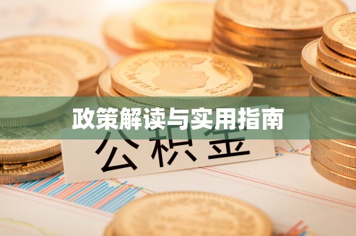 道里政策解读与实用指南