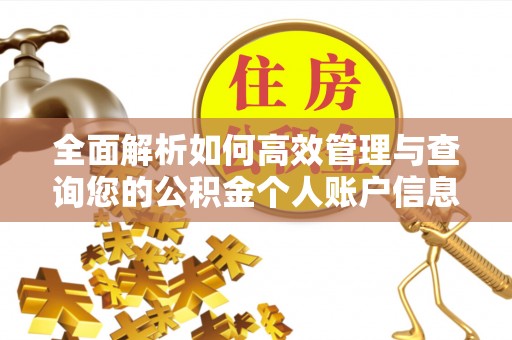 道里全面解析如何高效管理与查询您的公积金个人账户信息