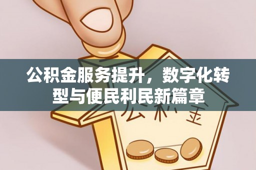 道里公积金服务提升，数字化转型与便民利民新篇章