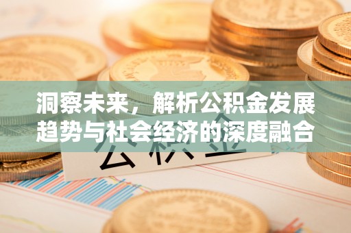 道里洞察未来，解析公积金发展趋势与社会经济的深度融合