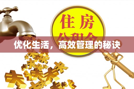 道里优化生活，高效管理的秘诀