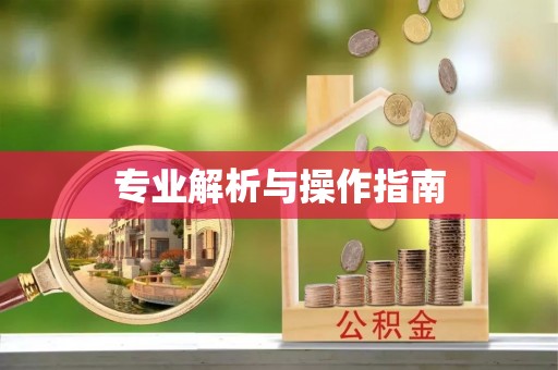 道里专业解析与操作指南