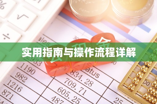 道里实用指南与操作流程详解