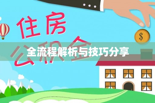 道里全流程解析与技巧分享